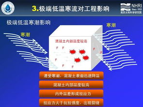 科技賦能未來 第六屆新技術(shù)推廣會掀起創(chuàng)新熱潮